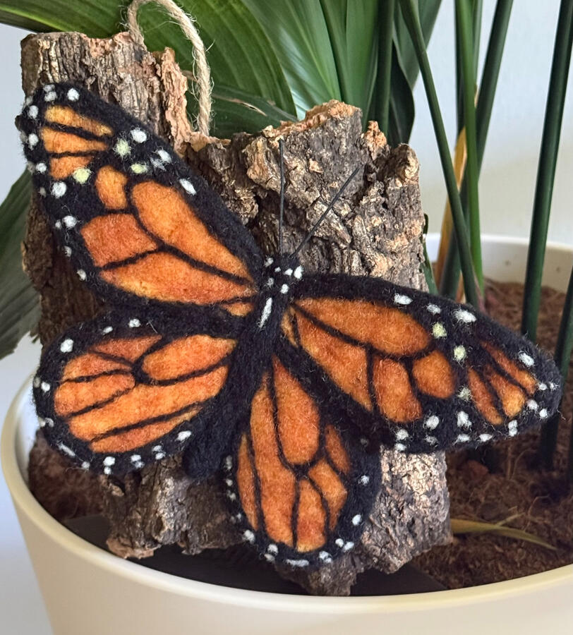 Monarch Monarch