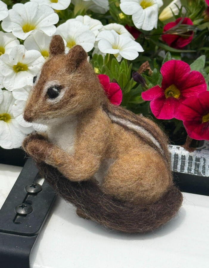 Chipmunk