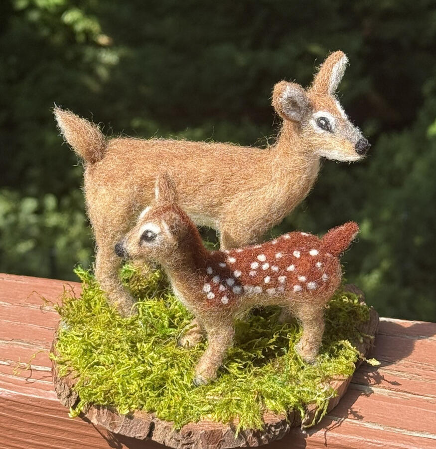 Deer Deer