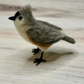 Titmouse